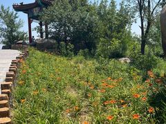 -白水寺森林公园