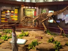 -自贡恐龙博物馆