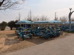 -盐城丹顶鹤湿地生态旅游区