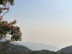 -天坛大佛