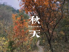 -北京西山国家森林公园