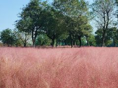 -汉长安城未央宫国家考古遗址公园