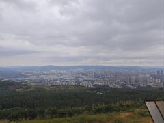 -长虫山生态公园风景林