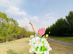 -长白岛森林公园