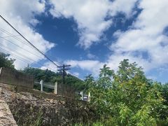 -秦岭风景区
