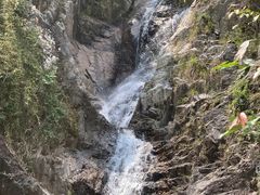-霸王岭国家森林公园