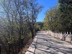 -北京西山国家森林公园