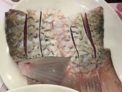 -正能量脆肉鲩火锅