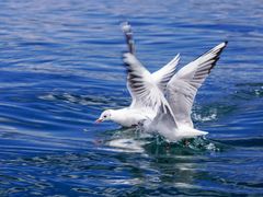 -丽江泸沽湖景区