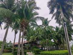 -宴悦海鲜餐厅·游水海鲜·牛排(亚龙湾瑞吉店)