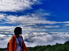 -白草畔自然风景区