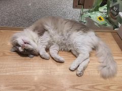 -金轮星光名座生活广场