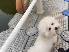 -龙川湾千岛湖国际垂钓中心