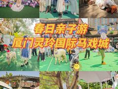 -灵玲国际马戏城