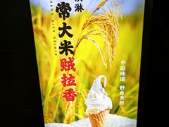 -野人先生现做冰淇淋(北京顺义祥云小镇店)