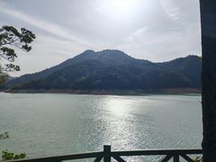 -广州市流溪河国家森林公园