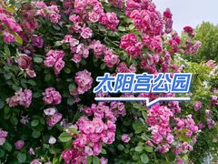 -太阳宫公园