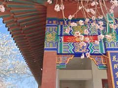 -桃花堤公园