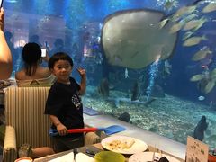 -瑞德姆美人鱼海底演艺主题餐厅(亚龙湾店)