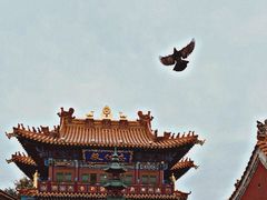 -大召寺明清一条街