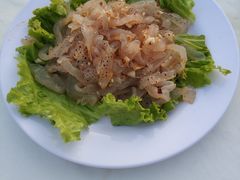 -越海渔村
