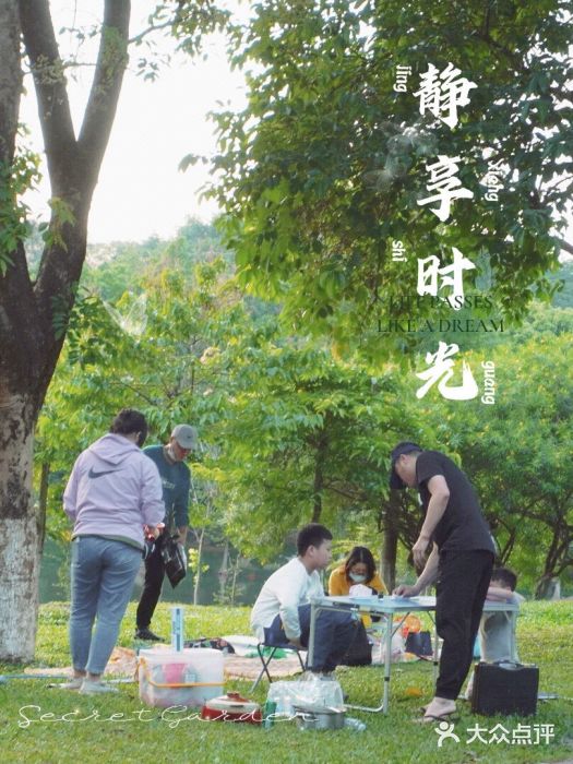 松山湖南湖湾露营营地图片