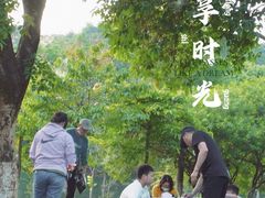 -松山湖南湖湾露营营地