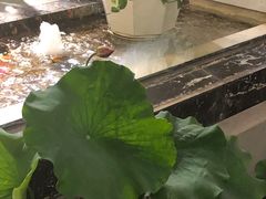 -桐庐开元名都大酒店