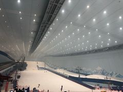 -哈尔滨热雪奇迹