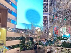 -桂满陇·海市蜃楼·黑金(国金店)