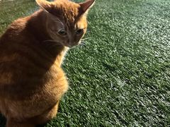 -大白之家天台轰趴•烧烤•团建•生日(南山店)