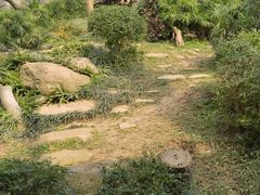 -石排湾郊野公园