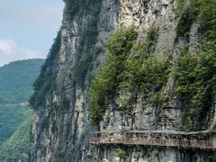 -鹿院坪生态旅游景区