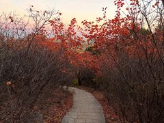 -北京西山国家森林公园