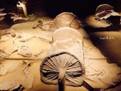 -洛阳周王城天子驾六博物馆