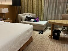 -徐州博顿温德姆酒店(高铁东站店)