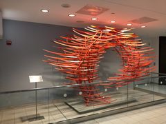 -约翰·菲茨杰拉德·肯尼迪国际机场