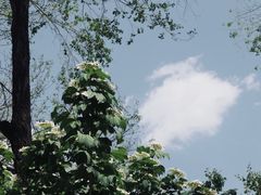 -北宫国家森林公园