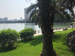 -白鹭洲公园