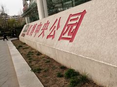 -吉野家(红博中央公园店)