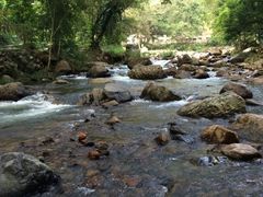 -广州市石门国家森林公园