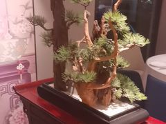 -顺峰(农展馆店)