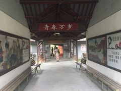 -大丰知青农场
