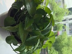 -湖锦酒楼(八一路店)