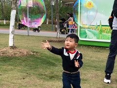 -上海长兴岛郊野公园