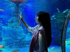 -沈阳海洋探索中心