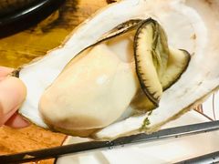 -土蚝·高压锅生蚝(百姓美食街店)