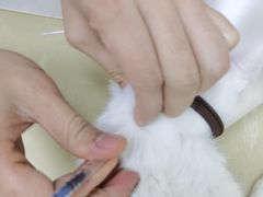 -宠颐生宠物医院外科·内科·皮肤科·影像科(石龙店)
