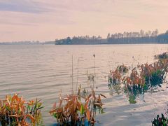 -东湖听涛景区