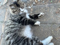 -北京西山国家森林公园